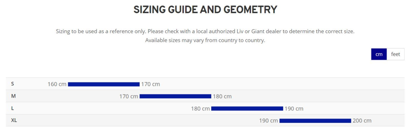 Giant Escape 2 Disc Hybrid Bike 2022 in Charcoal-1